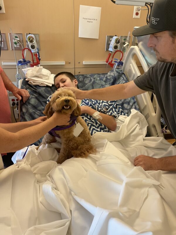 Talon Carmody, 14, pets a therapy dog after coming out of his coma at the Children's Hospital of Los Angeles. Courtesy photo of Tami Carmody.