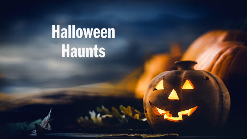 Halloween Haunts filler