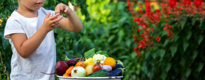 Throughout the seasons, farms in and around Santa Clarita burst into color, offering locals the chance to harvest apples, pumpkins, berries and farm-fresh veggies straight from the source. ©AdobeStock