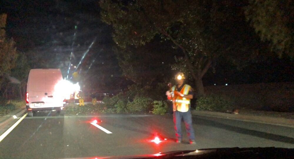 Read more about the article Vehicle collides with downed tree 
