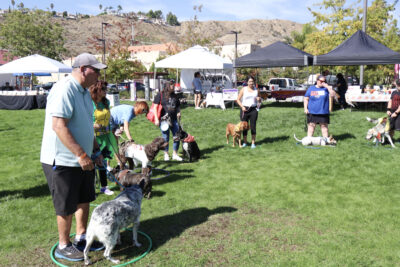 Attendees and their furry friends play a game of "musical chairs" at the American Cancer Society's Bark For Life "Howl-O-Ween" event at the Canyon Country Community Center in Canyon Country, Calif., Sunday, Oct. 26, 2025. Kamryn Martell/The Signal