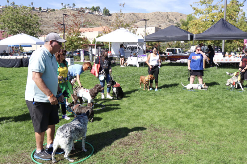 Attendees and their furry friends play a game of "musical chairs" at the American Cancer Society's Bark For Life "Howl-O-Ween" event at the Canyon Country Community Center in Canyon Country, Calif., Sunday, Oct. 26, 2025. Kamryn Martell/The Signal
