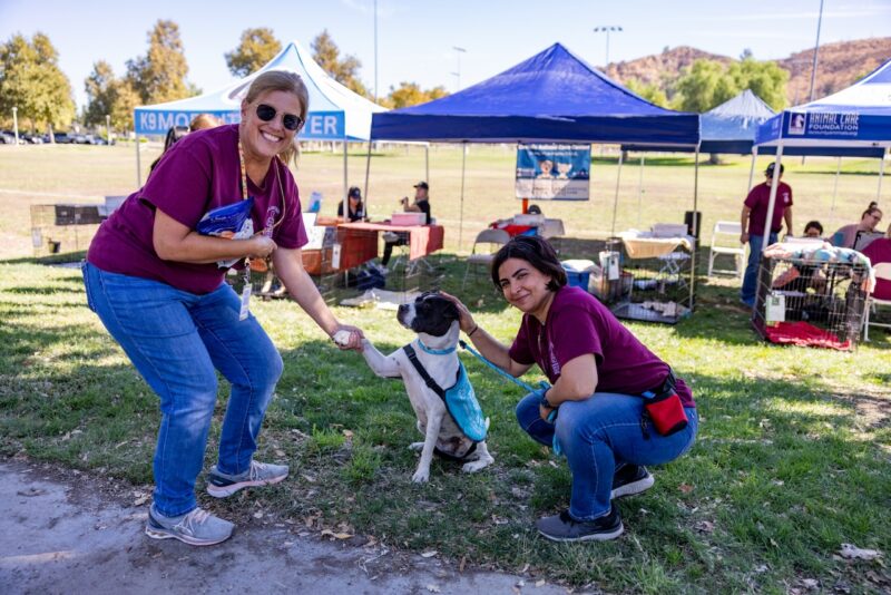 The city of Santa Clarita is scheduled to host “Paws at the Park” from 9 a.m. to noon Saturday at William S. Hart Park, 24151 Newhall Ave. Courtesy photo.
