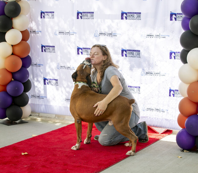 Guests celebrated adopting dogs from the Castaic Animal Care Center during the Trunk-or-Treat Animal Adoption Event on Saturday, Oct. 25, 2025. Habeba Mostafa/ The Signal