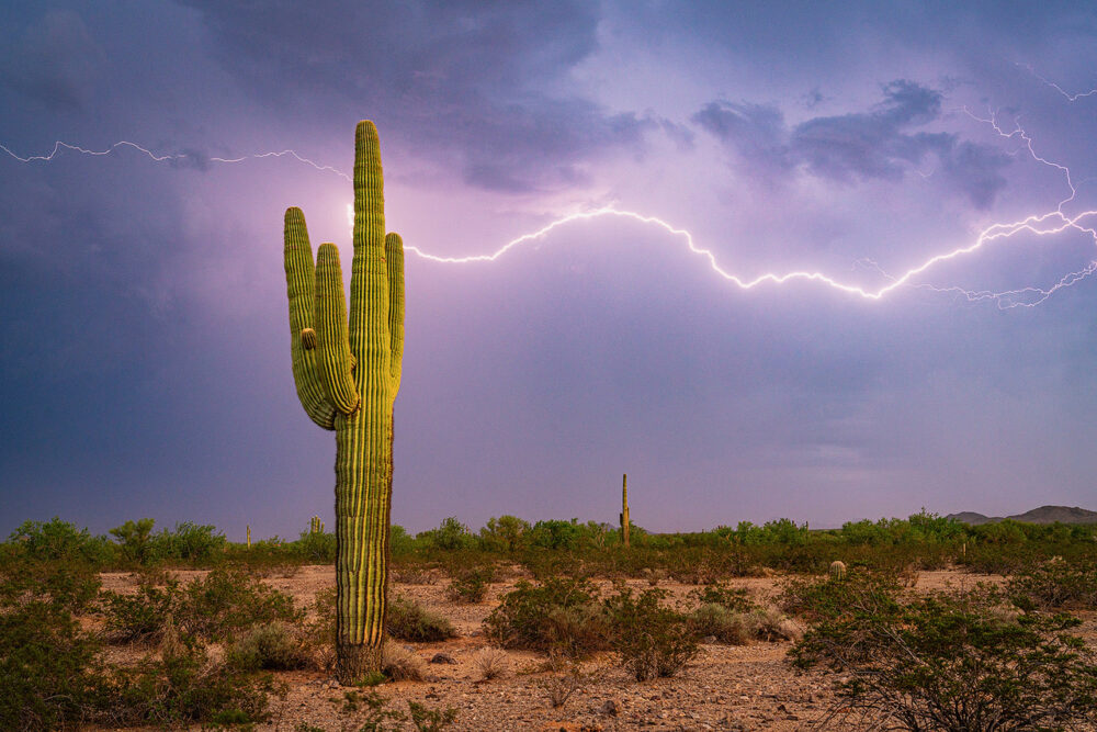 Reception Sunday for ‘Far Out Places’ photo exhibit
