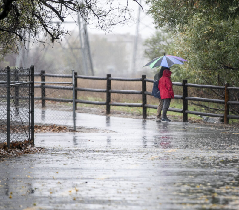 Santa Clarita residents experienced an influx of rain on Saturday, Nov. 15, 2025. Habeba Mostafa/ The Signal