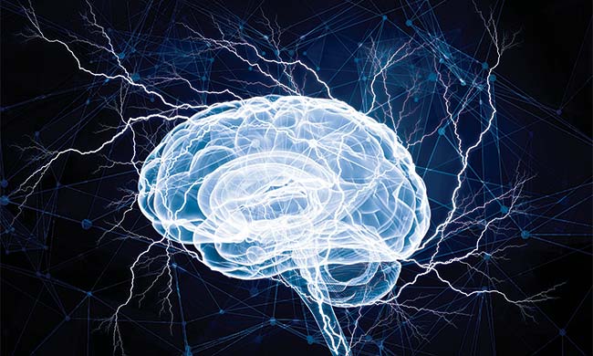 Photo courtesy of Shutterstock.