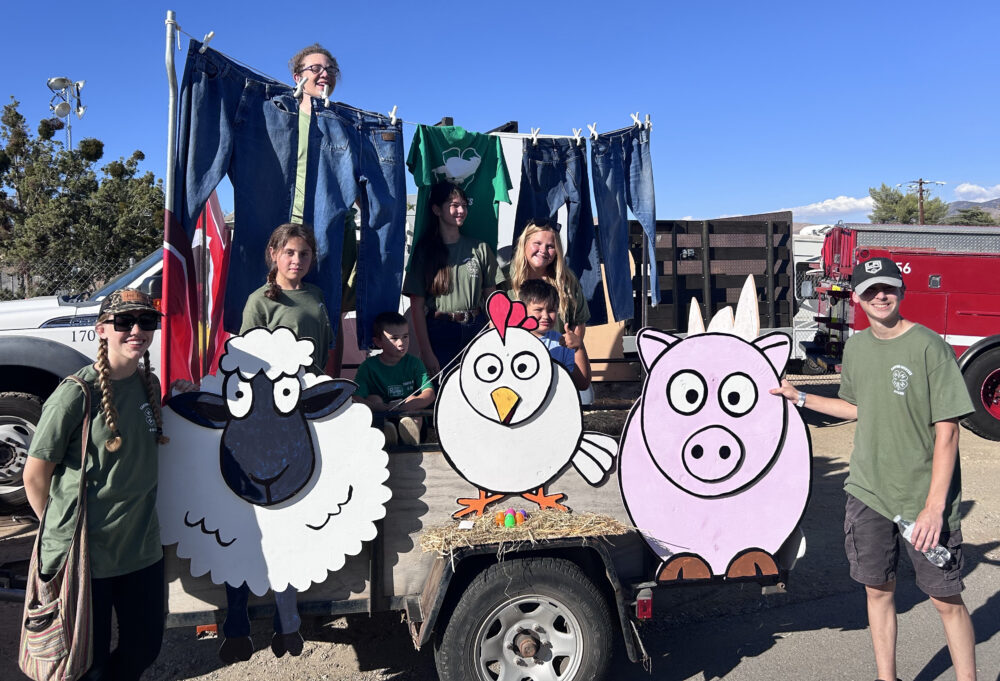 Read more about the article Llamas, butter-making highlight Canyon Coyotes AV Fair experience 