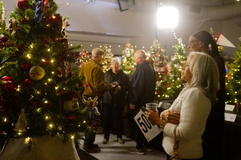 Guests take a close look at Christmass themed trees for during the 23rd annual Fesitval of Trees and Magic of the Lights Gala at the Canyon Country Community Center on Friday, Nov. 21, 2025. Katherine Quezada/The Signal