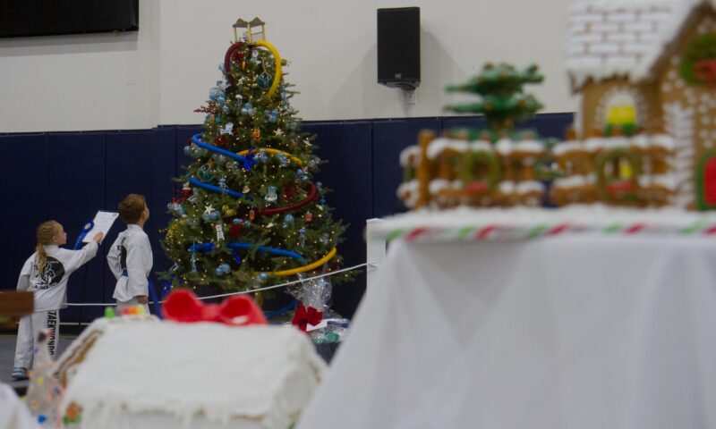 Children look at holiday themed trees during the Festival of Trees at the Canyon Country Community Center on Saturday, Nov. 22, 2025. Katherine Quezada/The Signal