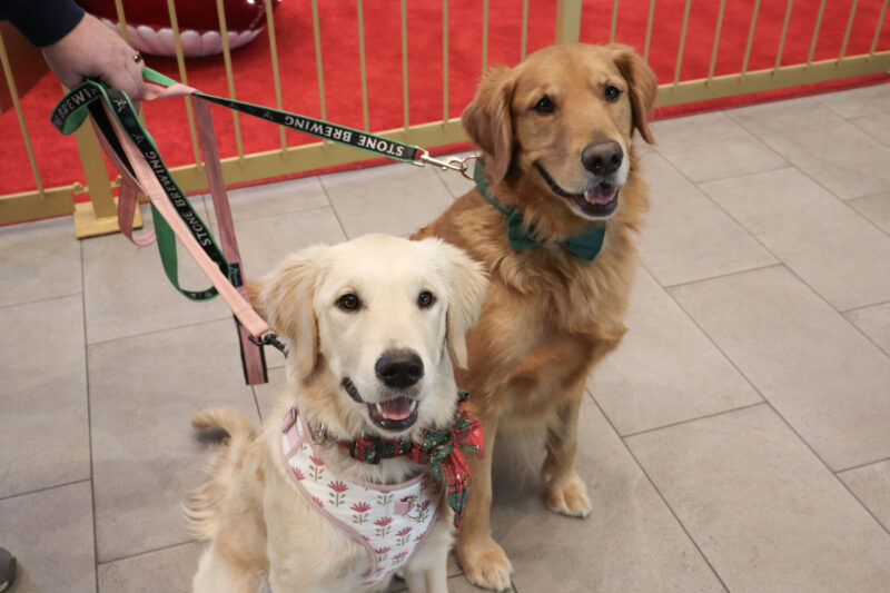 Penelope (L) and Packer (R) get into the holiday spirit with their outfits at the "Santa Paws" photo night at Westfield Valencia Town Center in Valencia, Calif., Tuesday, Dec. 2, 2025. Kamryn Martell/The Signal
