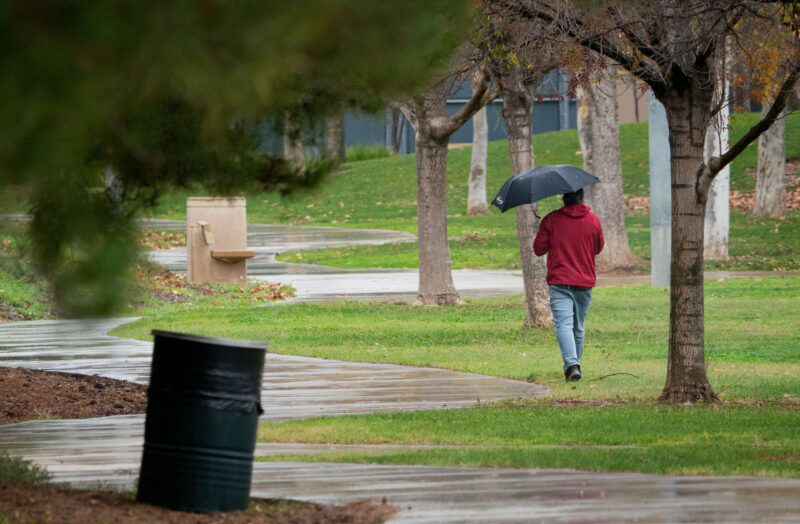A man walks along a park in Valencia in the midst of light rain on Wednesday Dec. 31, 2025. Katherine Quezada/The Signal
