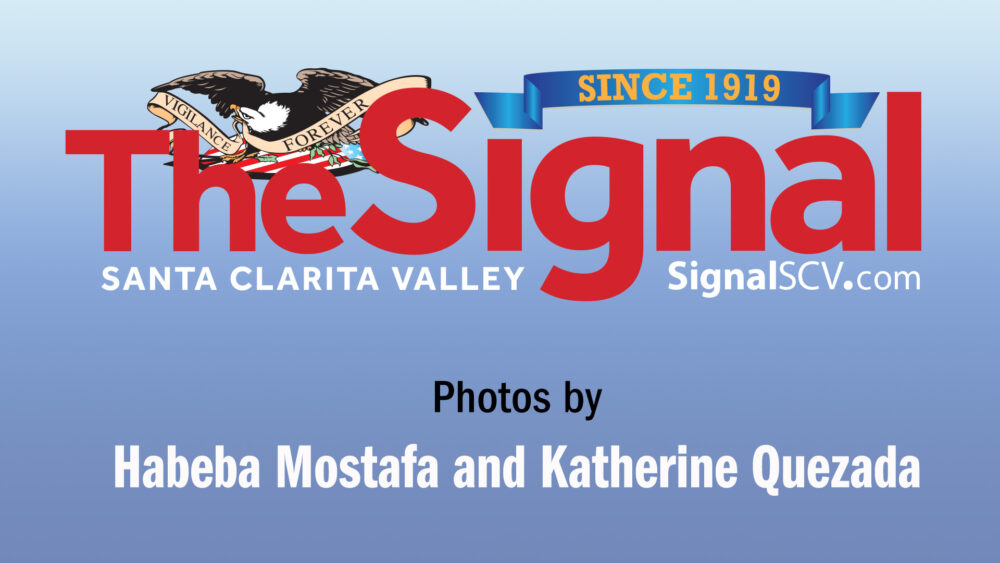 2025: The Year in Pictures