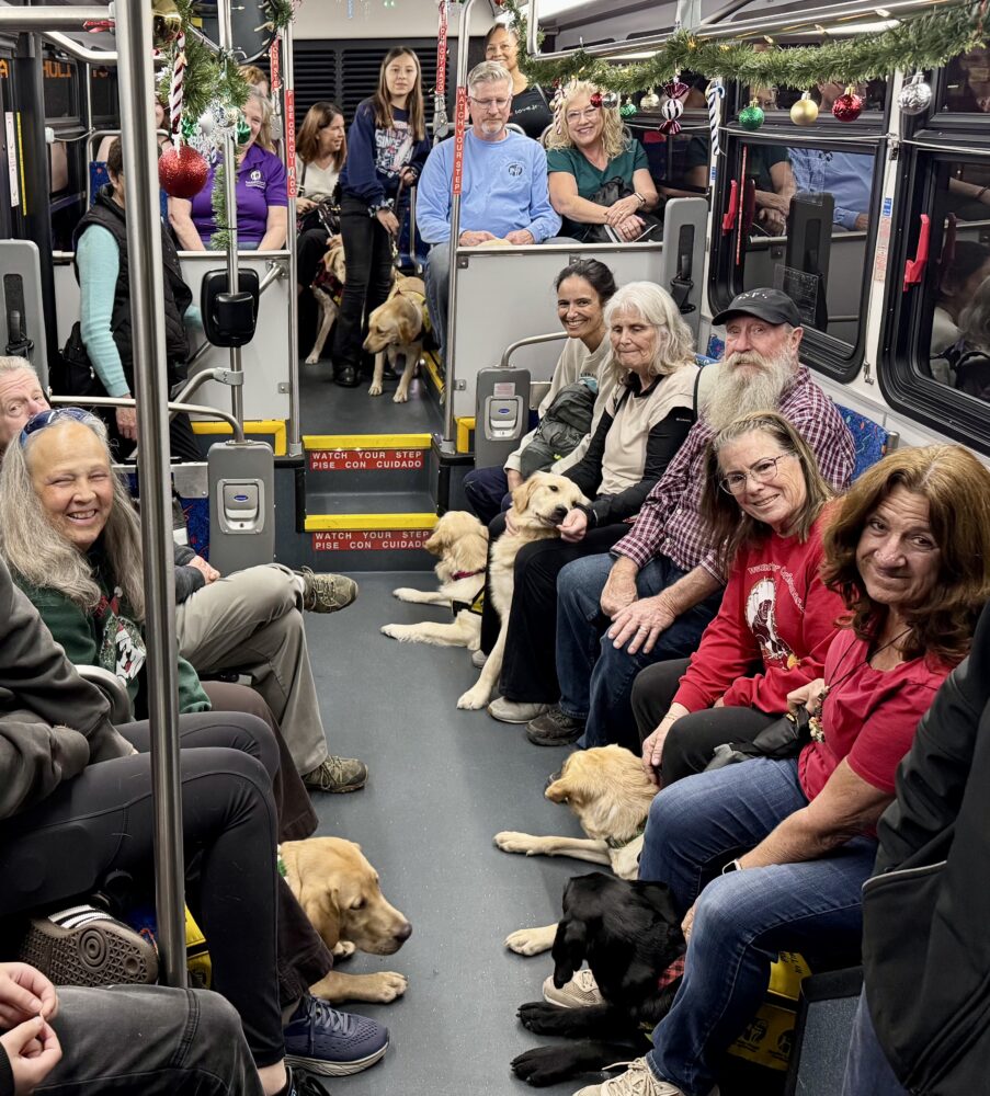 Read more about the article Guide Dogs of America puppies in training go on light tour 