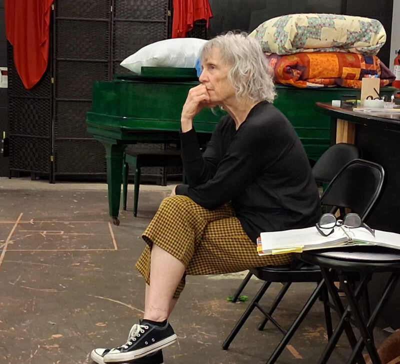 Eclipse Theatre LA’s production of “Curse of the Starving Class” opens Jan. 23 at The Main. Courtesy photo.