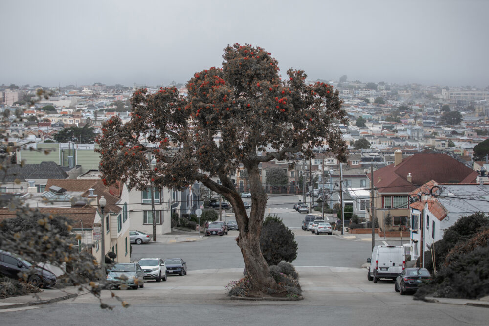 Read more about the article ‘7th Circuit’ photo exhibit on display at Canyon Country Community Center 