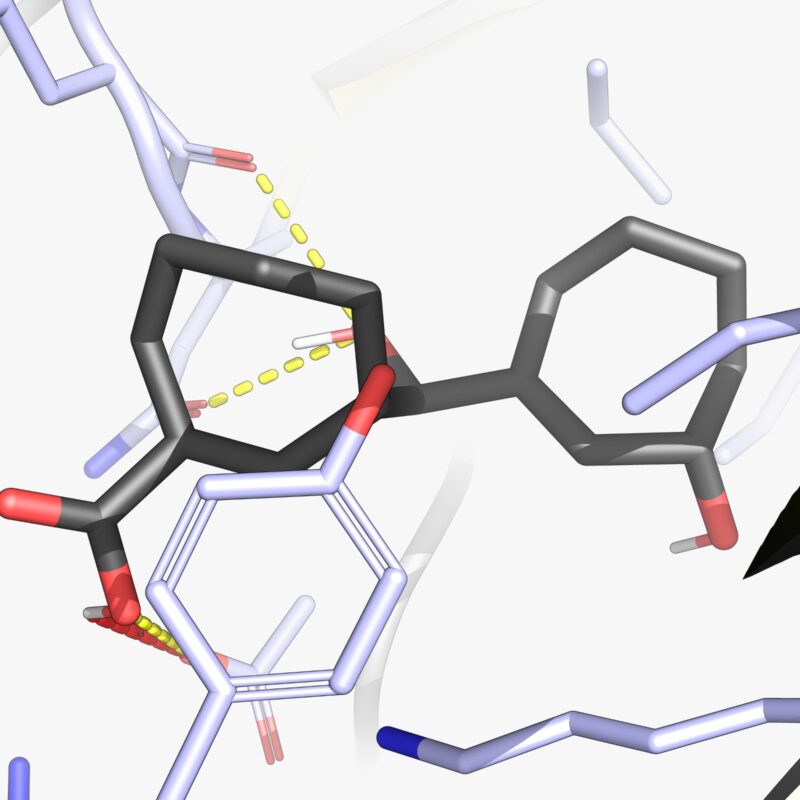 A molecule Aaryan Patel generated during his research surrounding the inhibition of FOP disease. Photo courtesy of Aaryan Patel.