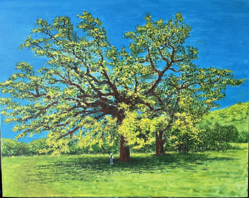 “Oak Tree at Cheeseboro Park” by Keiji Ichikawa..
