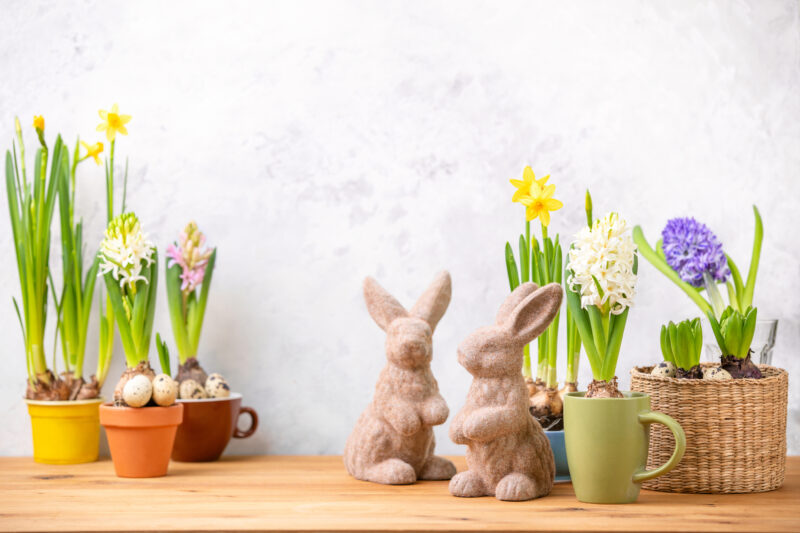 ©ADOBESTOCK