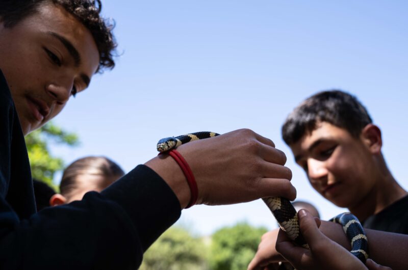 Young Marines take a close look at a wild snake during Cary Quashen’s snake handling demonstration on Saturday, May 6, 2026 in Castaic. Katherine Quezada/The Signal