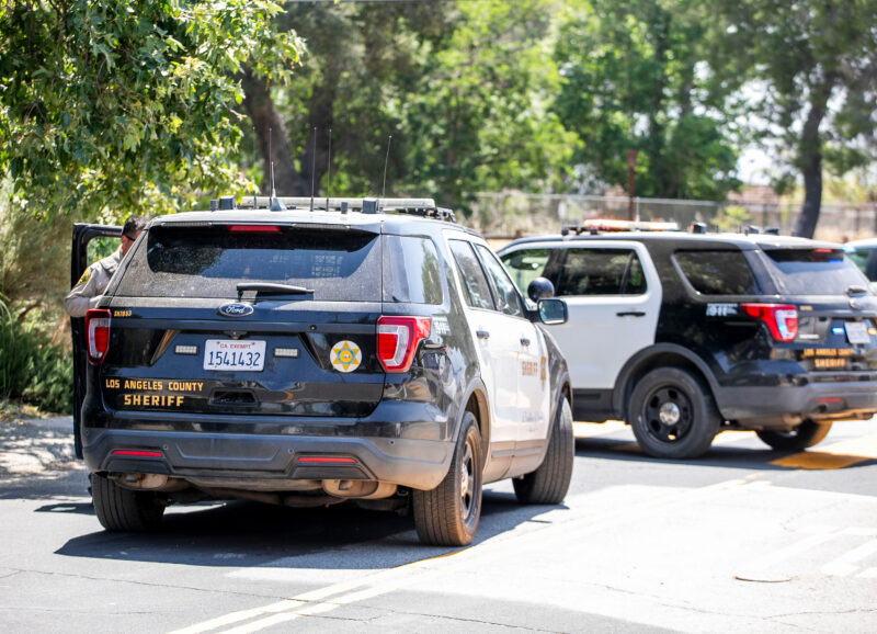 Santa Clarita Valley Sheriff's Station responded to the call of a bear hanging out in a tree in the area of Lost Canyon Road and Sand Canyon Road, Thursday, May 14, 2026. Habeba Mostafa/The Signal