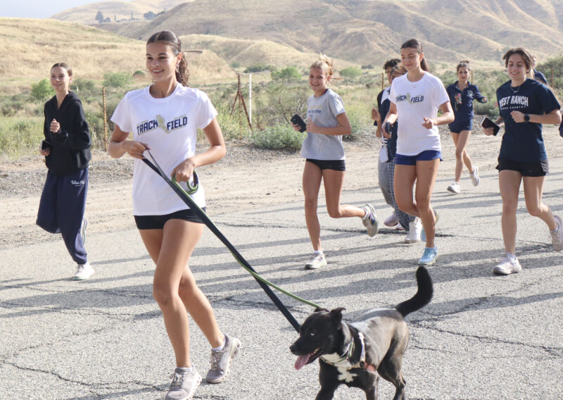 Gianna Matranga (L, white shirt), a senior at West Ranch High School, runs with Shyla, 1, a Husky mix, at the fourth annual West Ranch High "Run With Dogs" event at the Santa Clarita Valley Animal Care Center in Castaic, Calif., Sunday, May 17, 2026. Kamryn Martell/The Signal