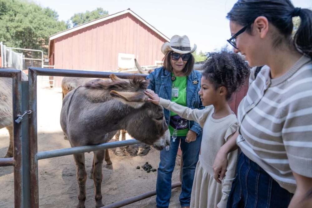 Read more about the article Photos: Critter Fair at Hart Park