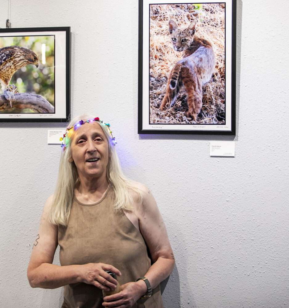Read more about the article Photos: Wildlife photography at The Main