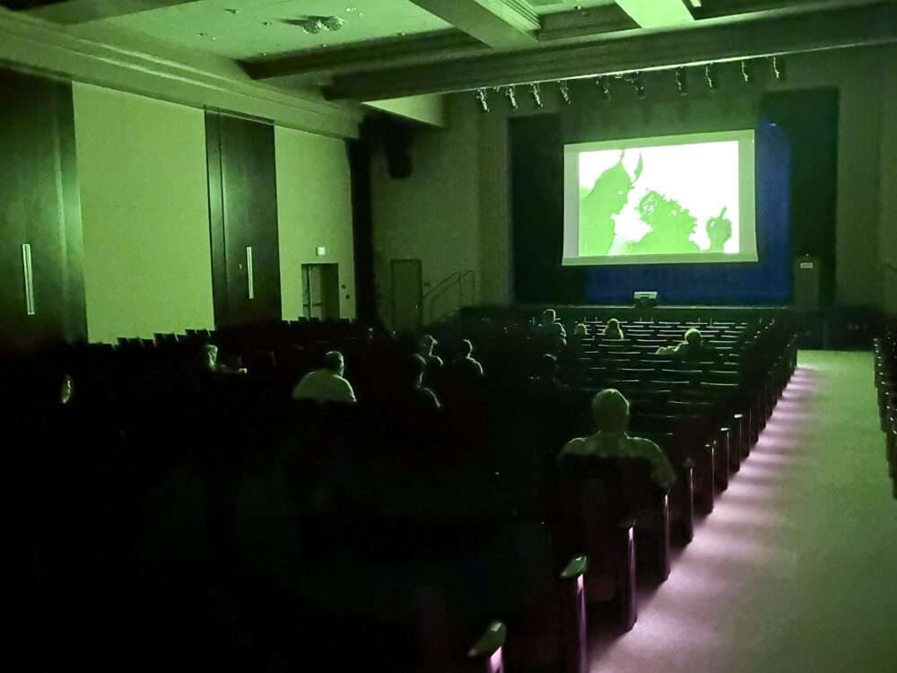 Attendees watch "The Adventures of Prince Achmed" at the sixth annual "Newhallywood" Silent Film Festival in Newhall, Calif., Sunday, May 24, 2026. Kamryn Martell/The Signal