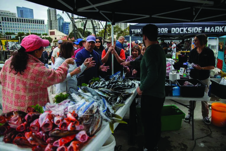 Customers gather in front of fisherman Shane Volberding’s booth at Tuna Harbor Dockside Market in downtown San Diego on June 20, 2026. This week’s catch includes mackerel, yellowtail, bottomfish and mako shark. Photo by Adriana Heldiz, CalMatters