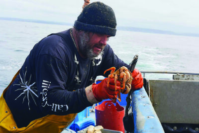 Spud Point Crab Company in Bodega Bay offers fresh-from-the-boat Dungeness crab sandwiches. Photo Courtesy Spud Point Crab Company.