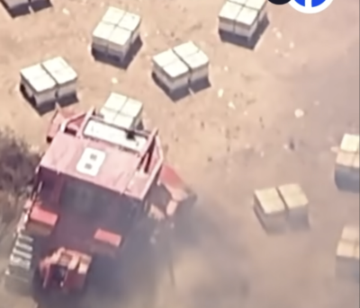 Screenshot courtesy of ABC7.
