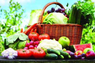 Fresh organic vegetables in wicker basket in the garden.