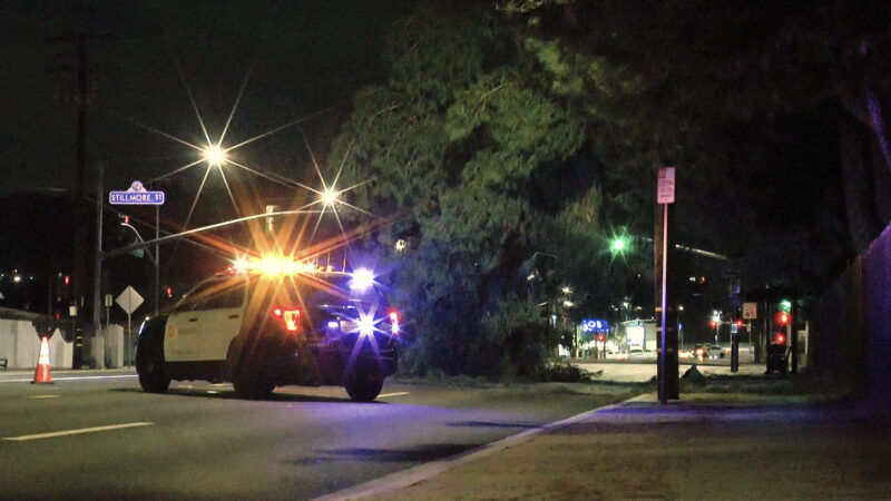 Deputies responded to a large tree blocking the intersection of Whites Canyon Road and Stillmore Street Thursday night on Aug. 27, 2026. Oscar Sol/ For The Signal
