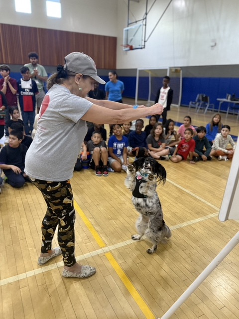 ileen and her rescue dog Molly Joon. Operation Blankets of Love has grown from Eileen Smulson gathering blankets and towels for local shelters to a nationally recognized animal welfare emergency relief nonprofit. PHOTO COURTESY OBOL.