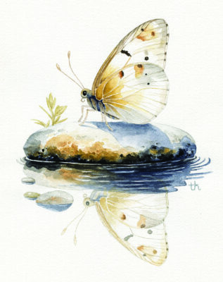 "Golden Butterfly" by Tabetha Herr.