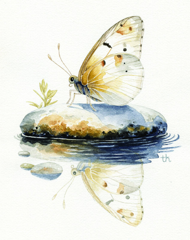 "Golden Butterfly" by Tabetha Herr.