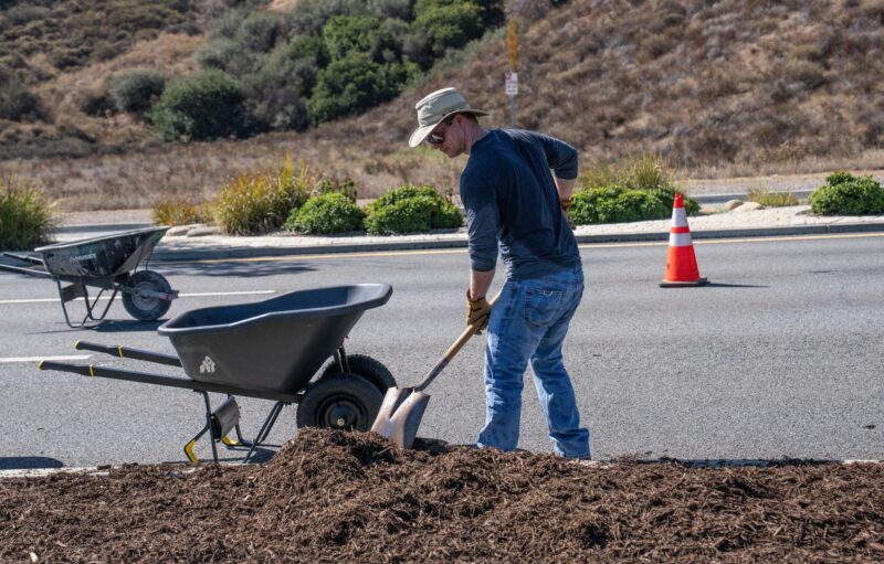 Volunteers distribute mulch along Golden Valley Road for the city of Santa Clarita’s Beautification Day on Saturday, Sept. 12, 2026. Katherine Quezada/The Signal