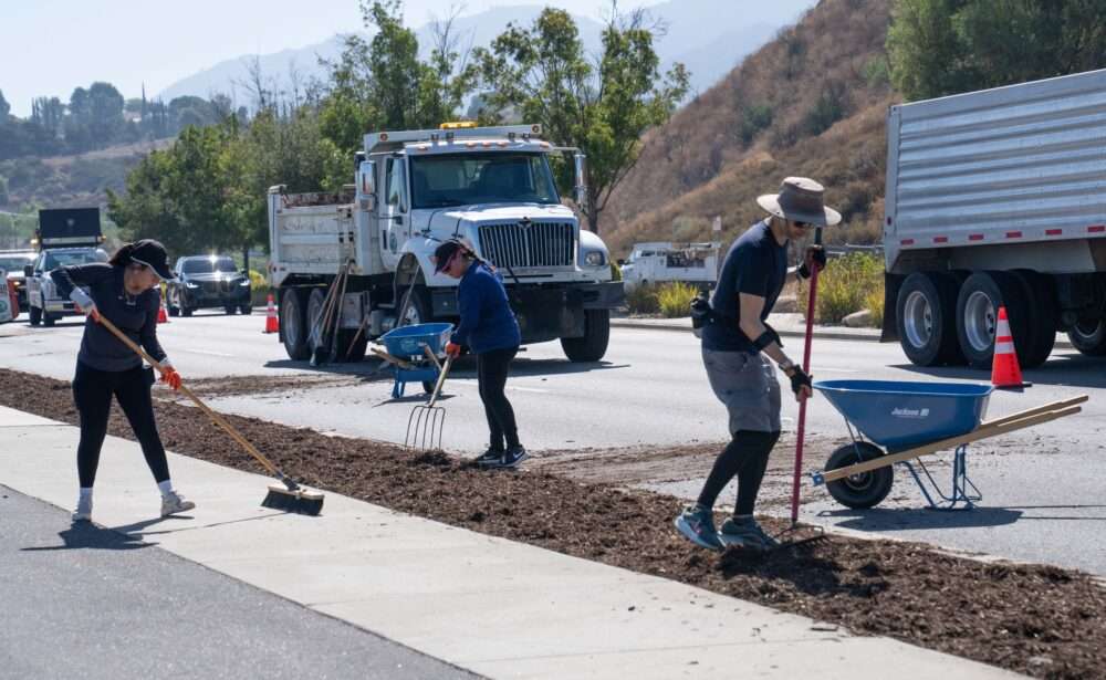 Over 50 volunteers joint the city of Santa Clarita to participate in the 5th annual Beautification Day and in an effrot to promote local volunteerism, on Saturday, Sept. 12, 2026. Katherine Quezada/The Signal