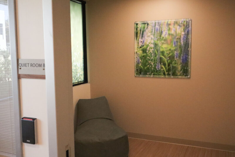 A new quiet room for patients at the Henry Mayo Newhall Hospital EmPATH Unit in Valencia, Calif., Monday, Sept. 14, 2026. Kamryn Martell/The Signal