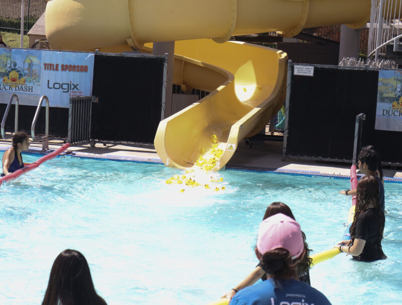 Ducks go down the slide at the Samuel Dixon Family Health Center's 23rd annual "Duck Dash" at the Santa Clarita Aquatic Center in Santa Clarita, Calif., Sunday, Sept. 20, 2026. Kamryn Martell/The Signal