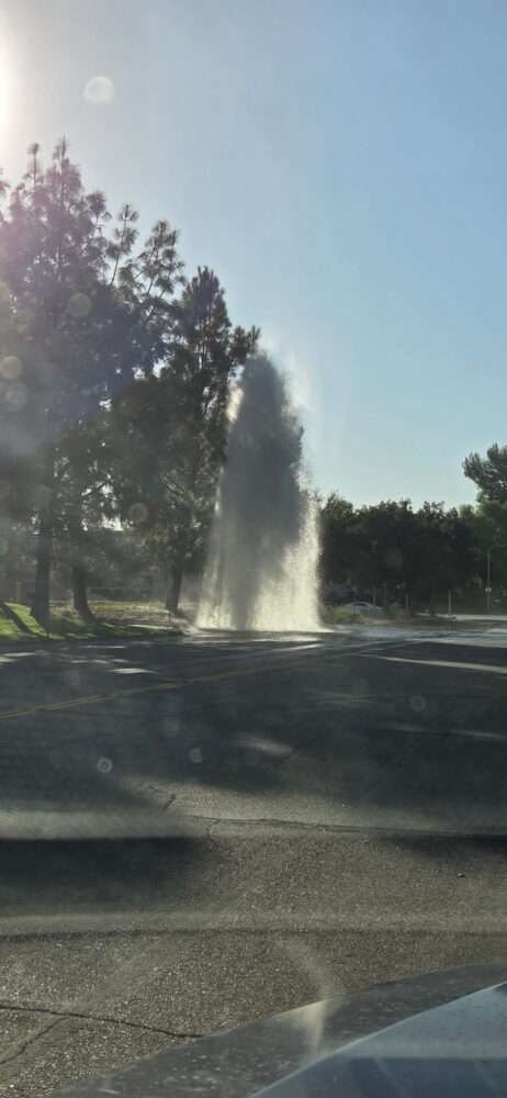 Read more about the article Fire: Sheared hydrant spills water on Avenue Mentry 