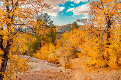 A trip to Big Bear will provide reliable displays this year. ©iStock