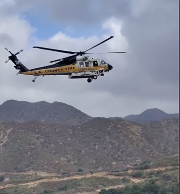 Screenshot of video courtesy from Steve Arklin.