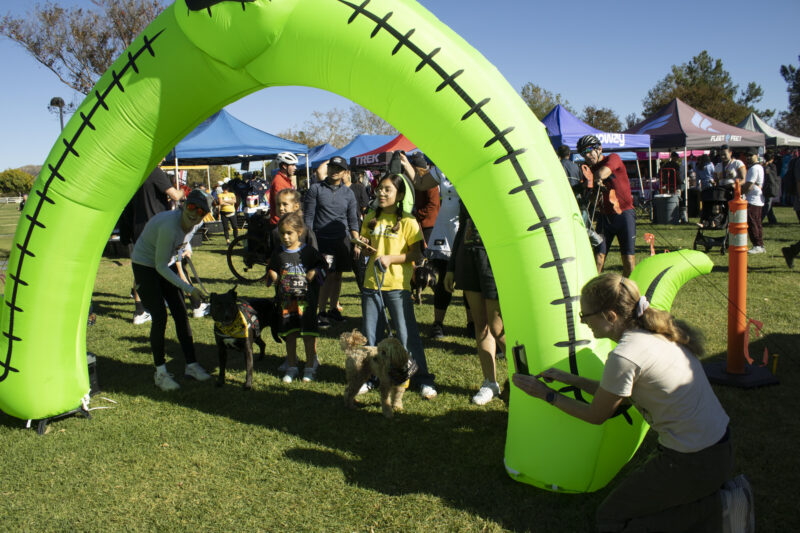 Racers line up for the puppy section for the Kids and Puppy run at Finish the Ride and Finish the Run at West Creek Park in Valencia, Calif., Sunday, Oct 25, 2026. Audrey De Laura/The Signal