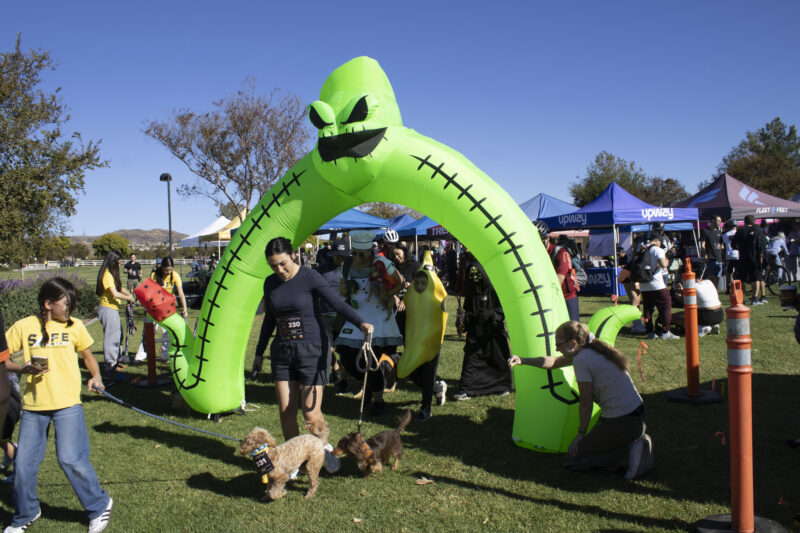 Racers start for the Kids and Puppy run at Finish the Ride and Finish the Run at West Creek Park in Valencia, Calif., Sunday, Oct 25, 2026. Audrey De Laura/The Signal