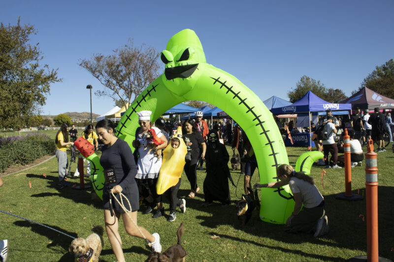 Racers start for the Kids and Puppy run at Finish the Ride and Finish the Run at West Creek Park in Valencia, Calif., Sunday, Oct 25, 2026. Audrey De Laura/The Signal