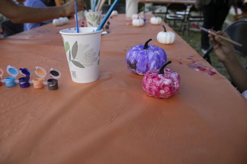 Attendees painting pumpkins at the Trick or Treat Village at Val Verde Park in Castaic, Calif., Wednesday, Oct, 28, 2026. Audrey De Laura/The Signal